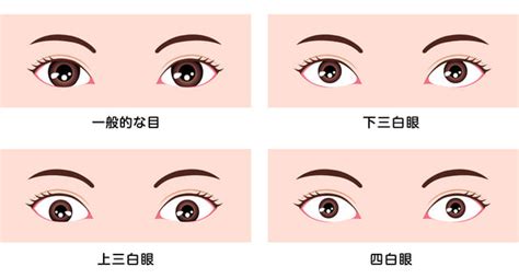 桃花眼 三白眼|目の形はどんな種類がある？ 特徴別の目の形とその作り方 